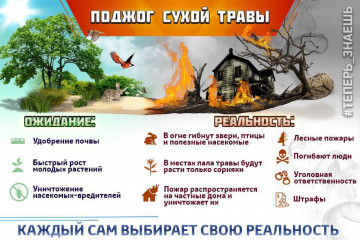 Пал сухой травы ЗАПРЕЩЁН!