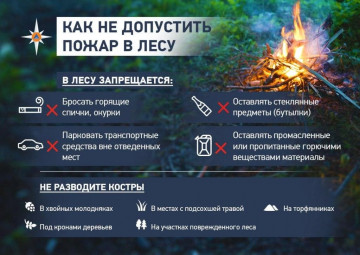 Как не допустить пожара в лесу. Защитим лес от пожара