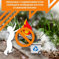 Тополиный пух - источник пожарной опасности!