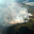 В тринадцати районах Иркутской области прогнозируется  чрезвычайная пожароопасность лесов 30 мая