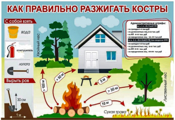 Сжигание мусора на дачных и садовых участках: правила, условия и штрафы.