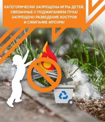 Тополиный пух - источник пожарной опасности!